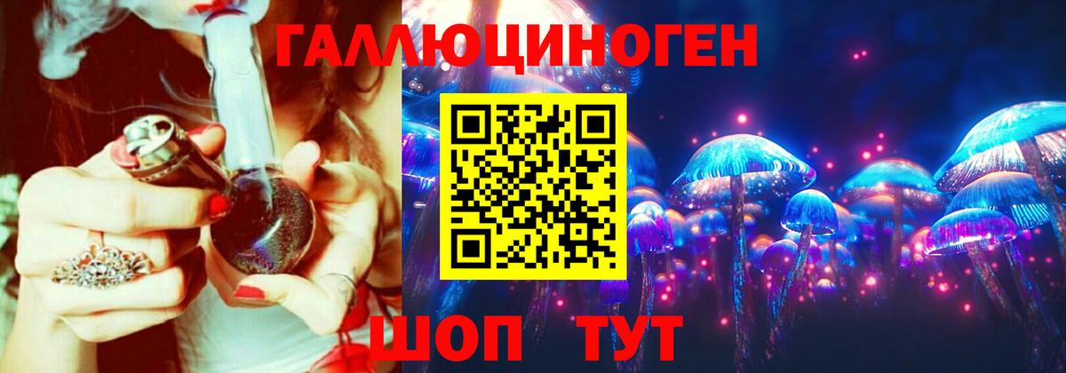 Псилоцибиновые грибы Psilocybe Барабинск